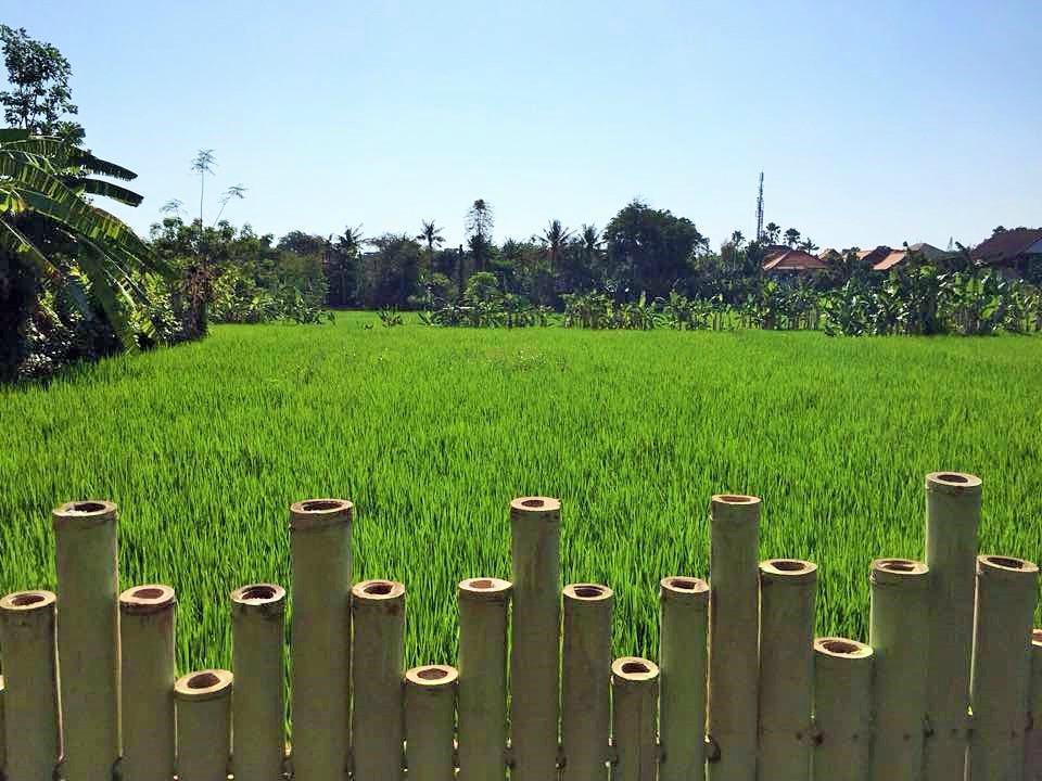 Bali Green Hostel Seminyak Eksteriør bilde